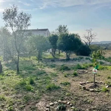 Masia Entre Vinedos Y Mar Holiday home